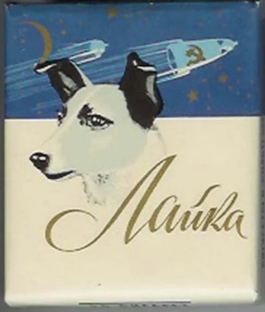 Собака куряка