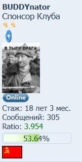 Гражданин-мститель