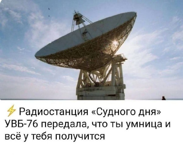 Отсутствие мозга, как составляющая счастья
