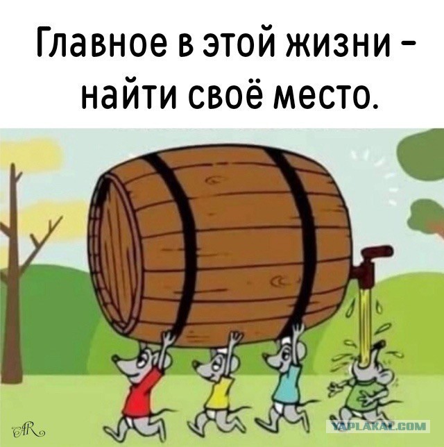 Ну, начнём! За пятницу!