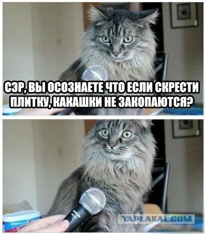 Вот это поворот!