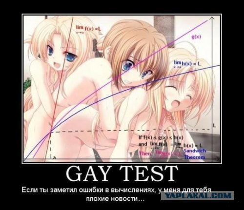 Gay Test