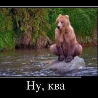 Камчатка. Медвежья рыбалка на заповедном кордоне