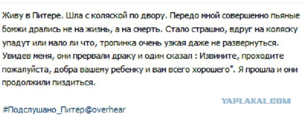 Очередная подборка смешных высказываний