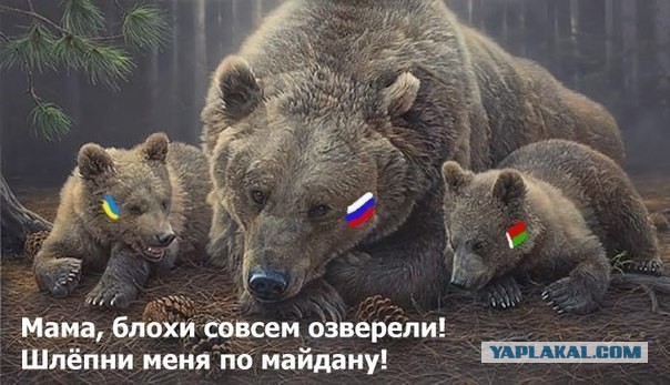 В Харькове избили членов "Правого сектора"