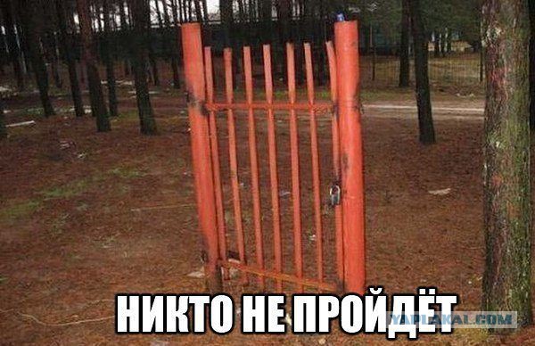 Позитивные картинки