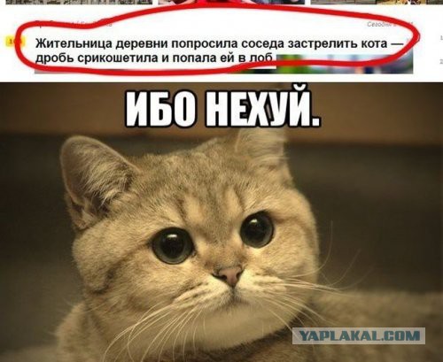 Картинки