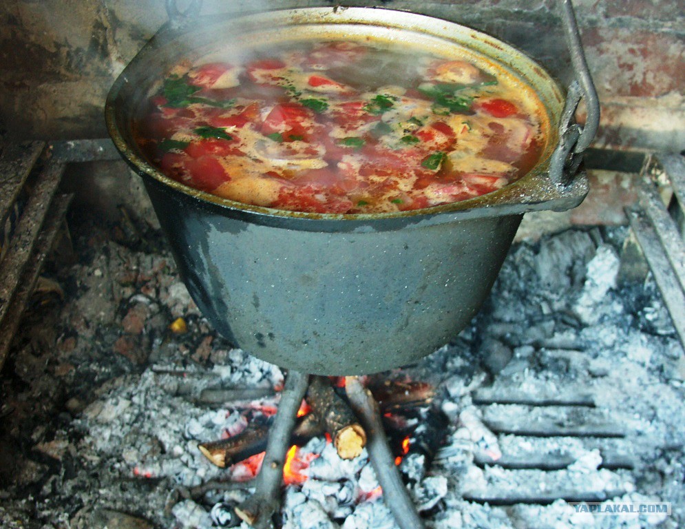 баранина на костре шулюм. шулюм на костре в казане. шулюм из баранины в казане. шулюм из баранины на костре. шулюм из баранины в казане на костре.