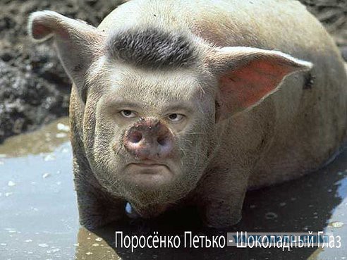 Теперь нацикам в Луганском аэропорту