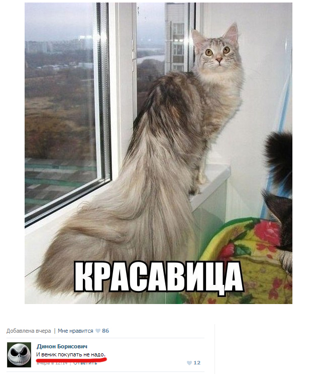 Забавные картинки и комменты из соцсети