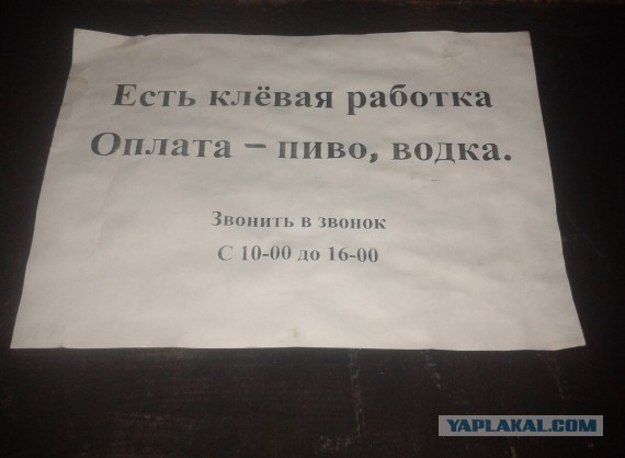 Когда вы плюсуeтe тему в платине