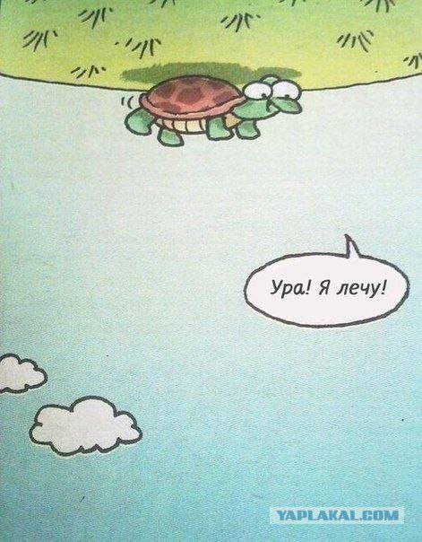 Весь Мир и Вселенная числовая матрица