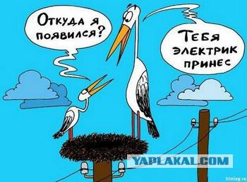 Наши электрики рулят