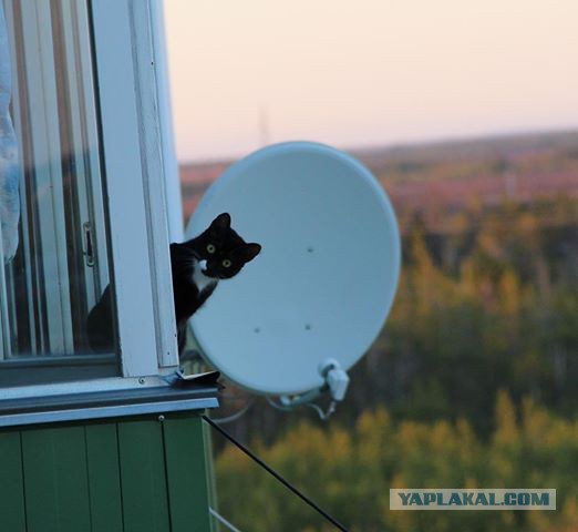 Немного картинок с просторов...