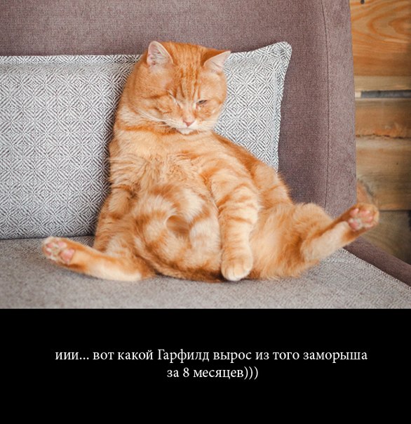 Что может сотворить любовь и забота