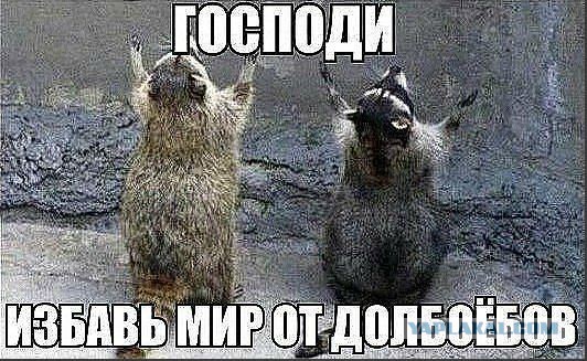 Пашинин: Мои друзья в России будут резать ОМОН