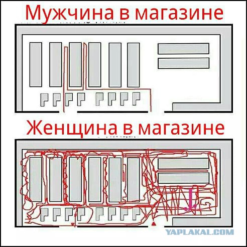 Прикольные картиночки