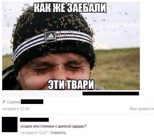 Ужасы и приколы из соцсетей 18+