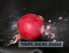 Грандиозный погром