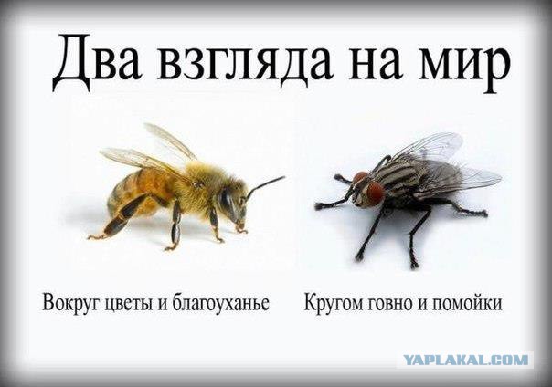 Почему женщины не думают головой?