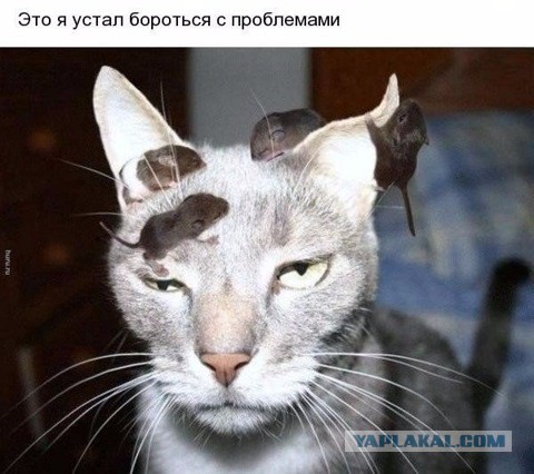 Подборка фотоприколов.