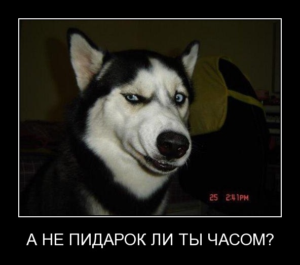 Сенсация! Избивший алкашей кикбоксёр оказался ...