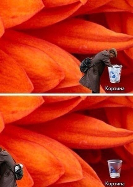 Картинки из сети