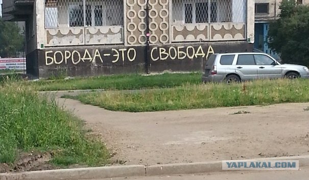 Выбирай: борода или я?