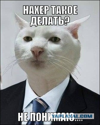 Дальнобойщики устроили массовую акцию протеста