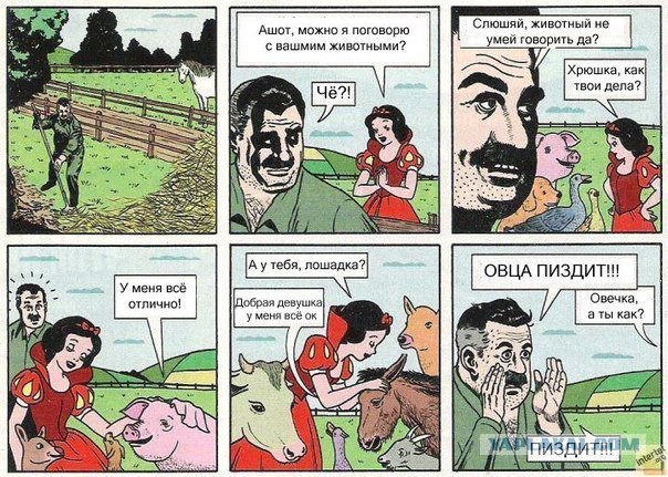 Гусь Вася обнимашками спасся от ножа дагестанца