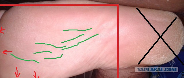 Исследую Хиромантию (Часть 2, спустя год)