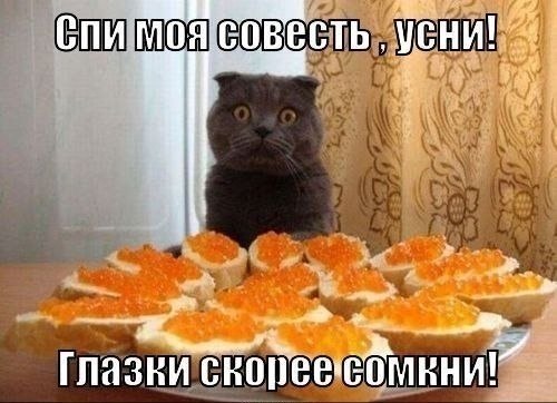 Картинки на утро вторника