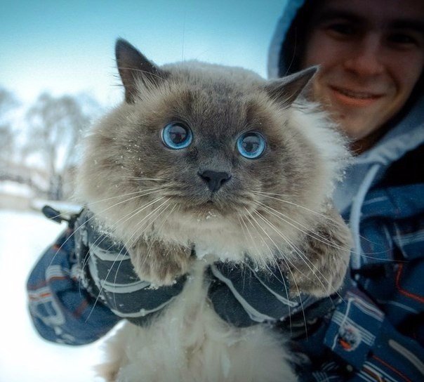 Картинки из ваших этих итернетов...