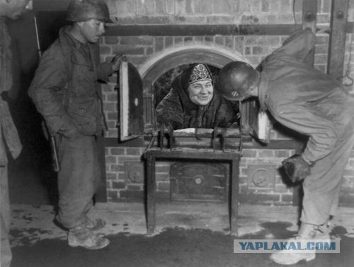 15-ти летняя студентка колледжа написала работу опровергающую Холокост евреев, получила А (10)