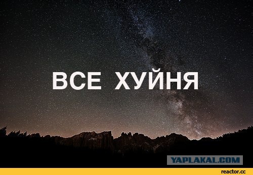 Есть чему поучиться нашим продуктовым сетям