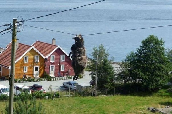 Подборка картинок