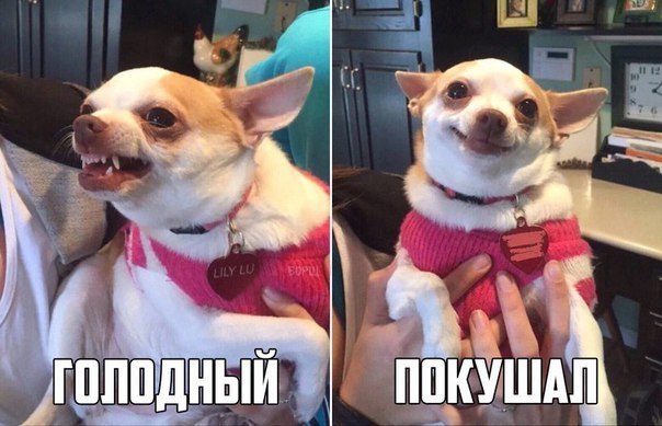 Картинки разные