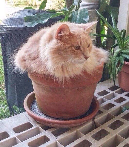 Немного демотиваторов