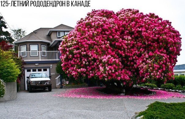 Немного картинок