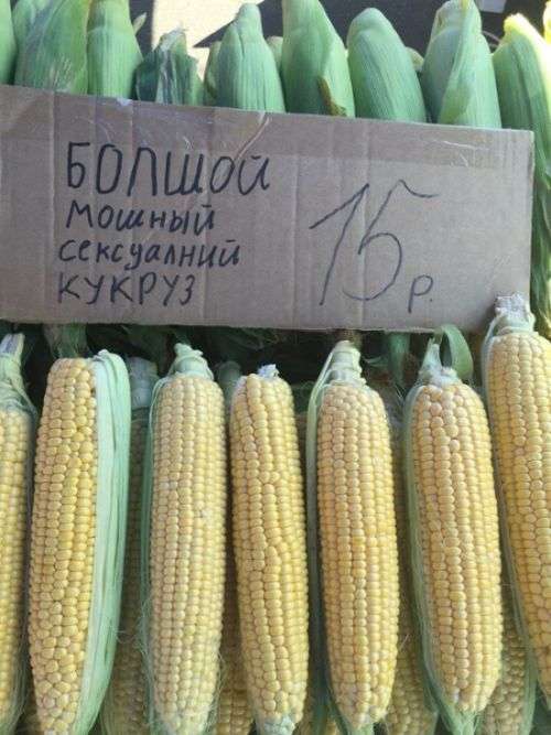 Весёлые картинки