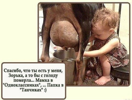 18 фотографий, которые сделают ваш день чуточку счастливее!