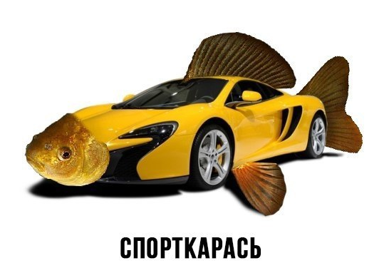 Сборище абсурда