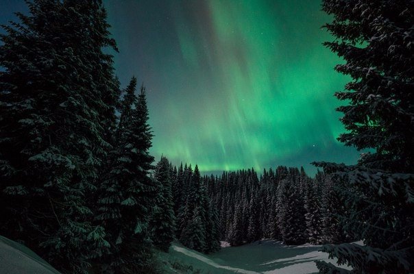 Моменты, запечатлённые на фото и просто позитив 5