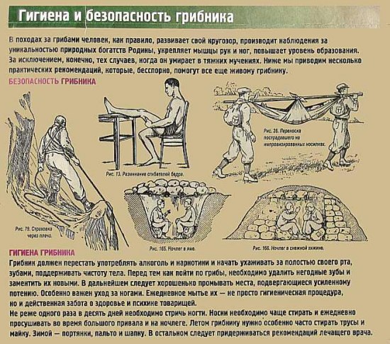 Немного картинок и демотиваторов