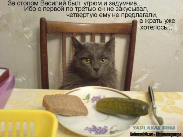 4 продукта, которыми нельзя закусывать водку