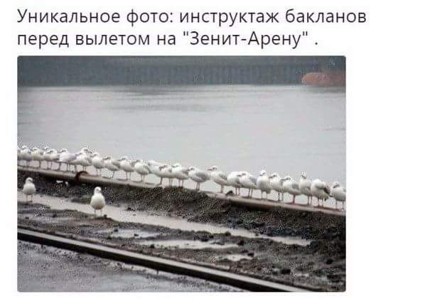 Выходные подошли к концу... Тупанем чутка?