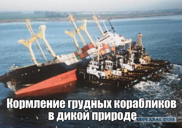 World of Warships - 5