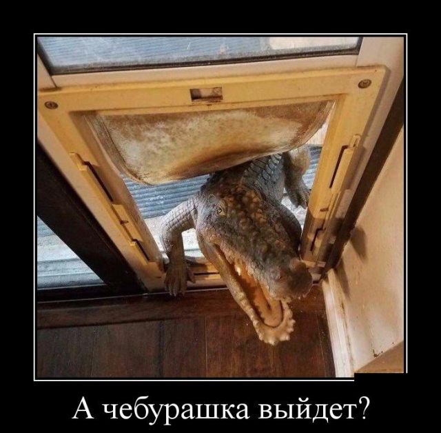 Зарядись позитивом в среду!