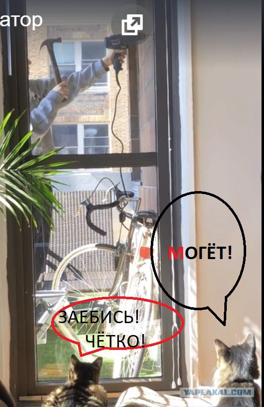 Заново изобрела перфоратор