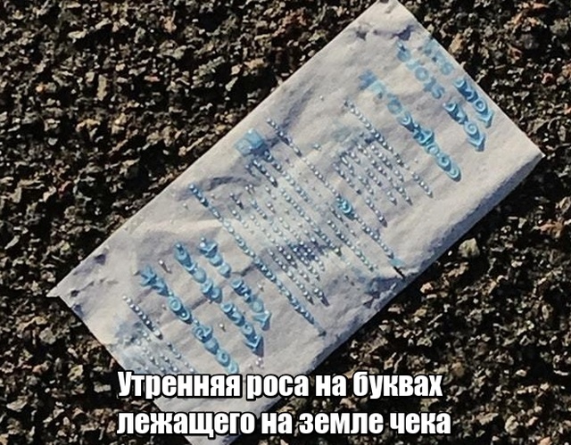 Прикольные картинки абавсём